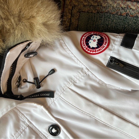 White Canada goose montebello - Picture 2 of 12